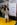 International Conference on Biodiversity and Climate Change 2025  | Misamis University Research Center